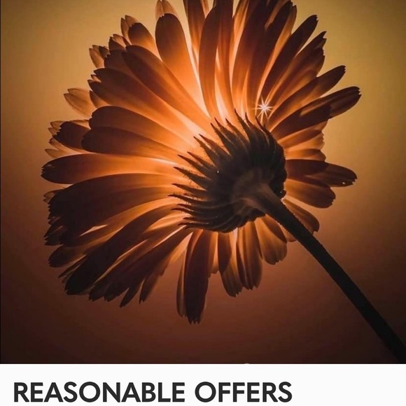 Meet your Posher, Barbi. - Picture 6 of 6